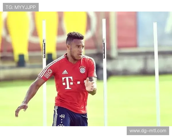 德甲转会策略研究